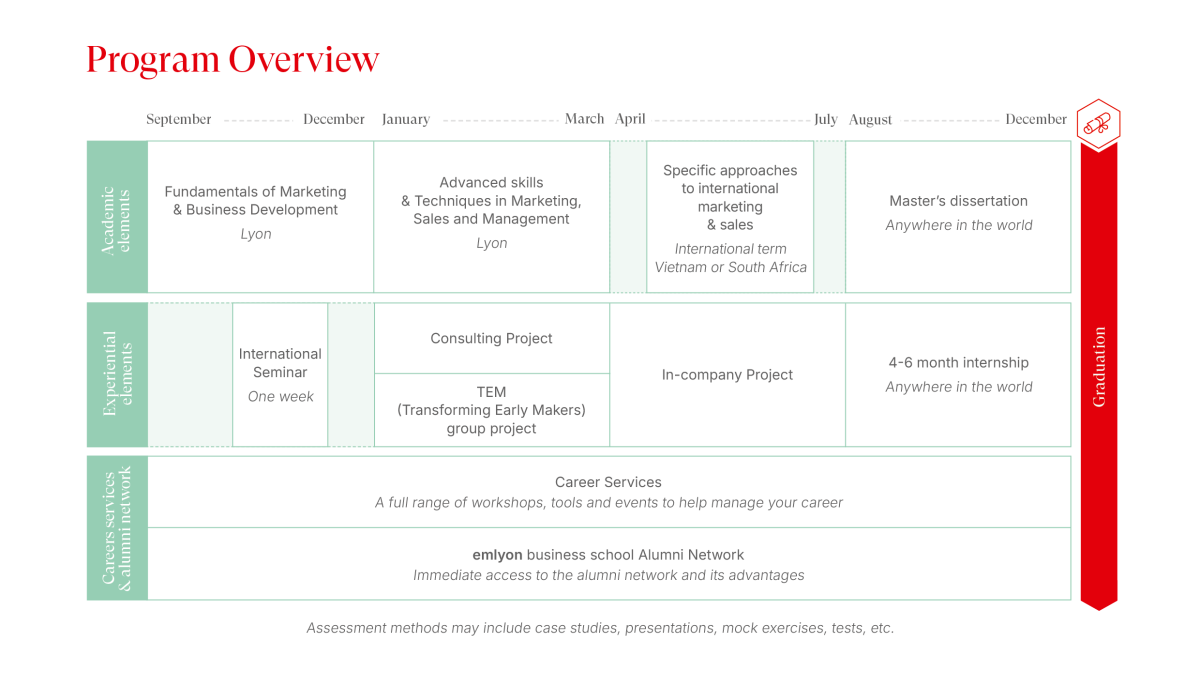 Curriculum MSc in International Marketing & Business Development