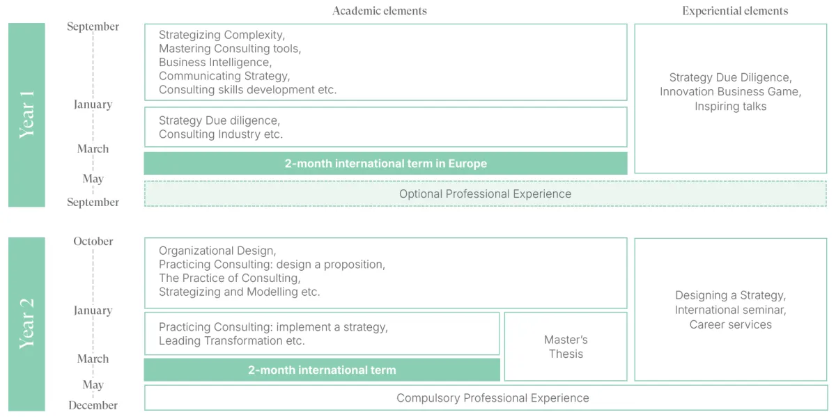 Master Strategy & Consulting - Curriculum