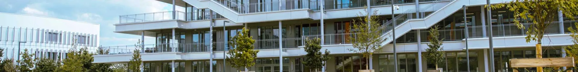 newsroom emlyon