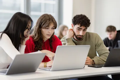 Étudiants collaborant sur des ordinateurs portables pendant un cours dans une école de commerce. Afficher plus de lignes