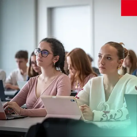 Étudiants travaillant sur ordinateur portable en salle de cours lors d’un projet collaboratif